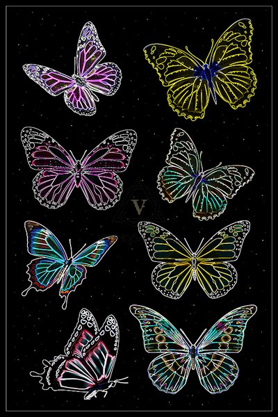 Неоновые бабочки