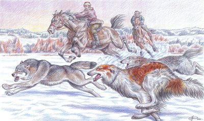«Охота на волка с русскими борзыми»