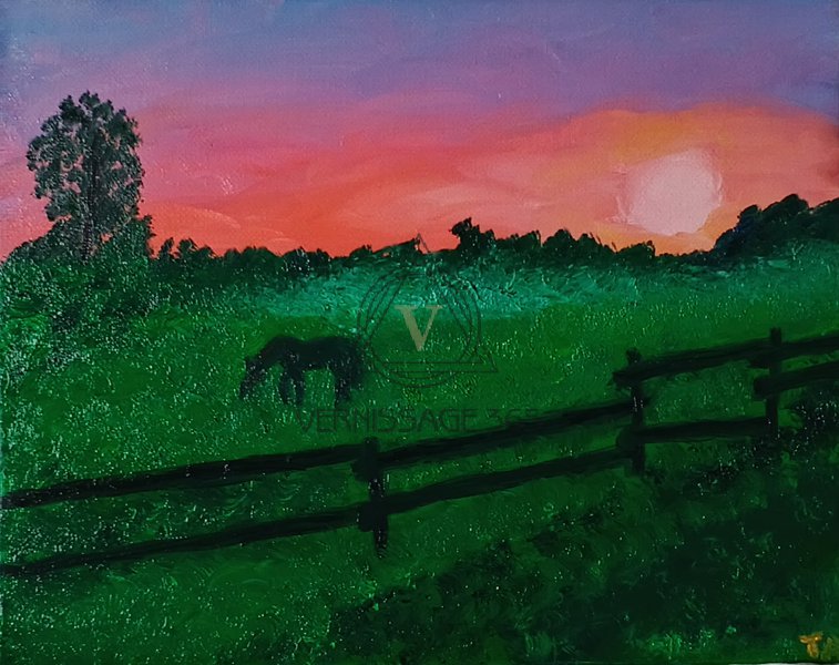 Сельский луг