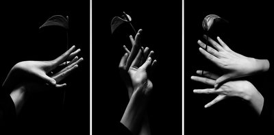 Триптих "Танец цветов"