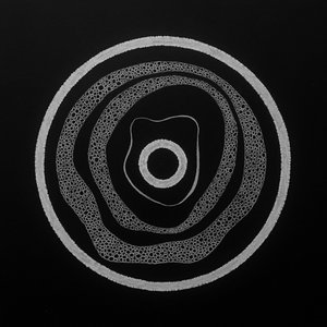 Daily’ A3 Абстракция на чёрной бумаге