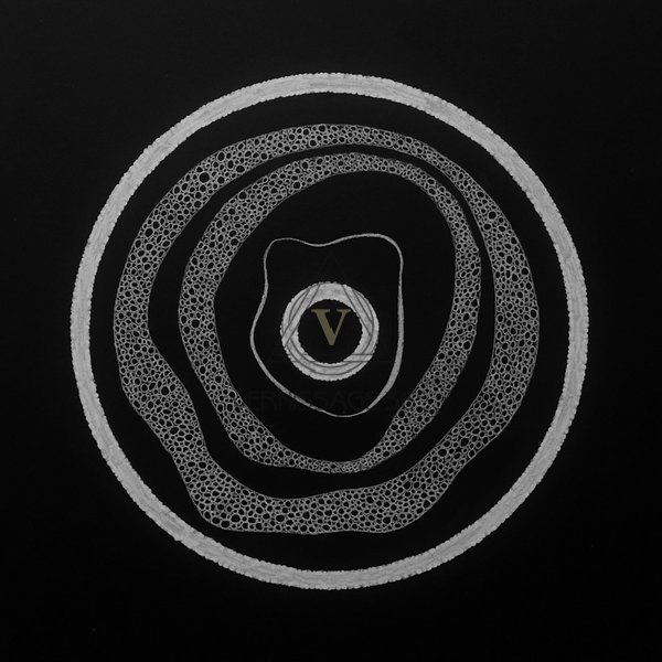 Daily’ A3 Абстракция на чёрной бумаге