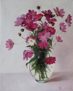 Космеи и цинии