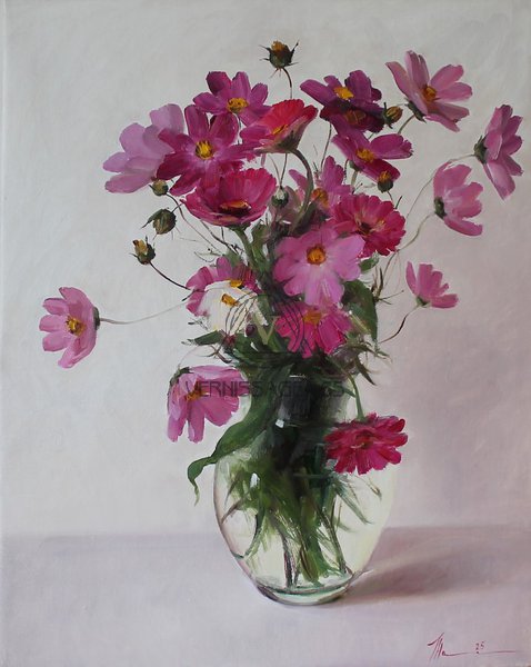 Космеи и цинии