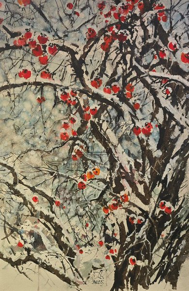 Хурма под снегом