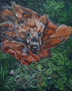 Росомаха в траве