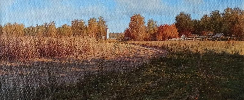 Кукурузное поле.