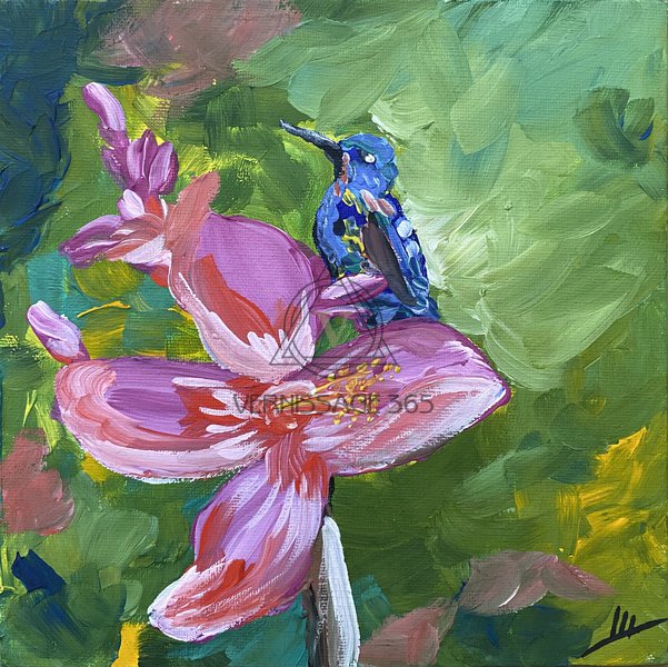 Колибри на цветке