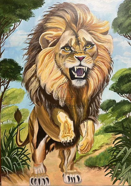 Моя территория