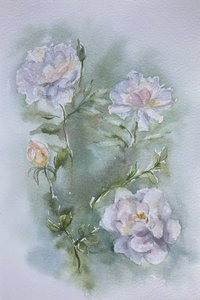 Картина акварелью « Белые розы»