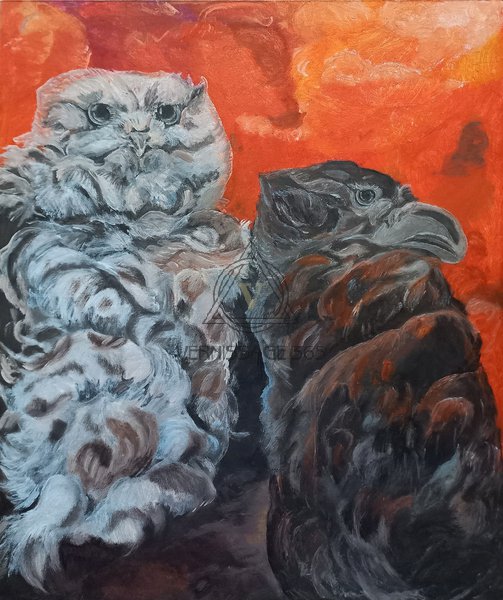 О ссоре Совы и Ворона