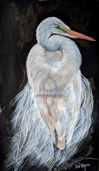 Белая цапля, смотрящая в сторону