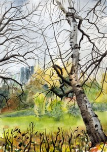 Деревья Дендрария