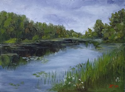 Водохранилище в Бугрово
