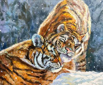 Влюблённая пара тигров