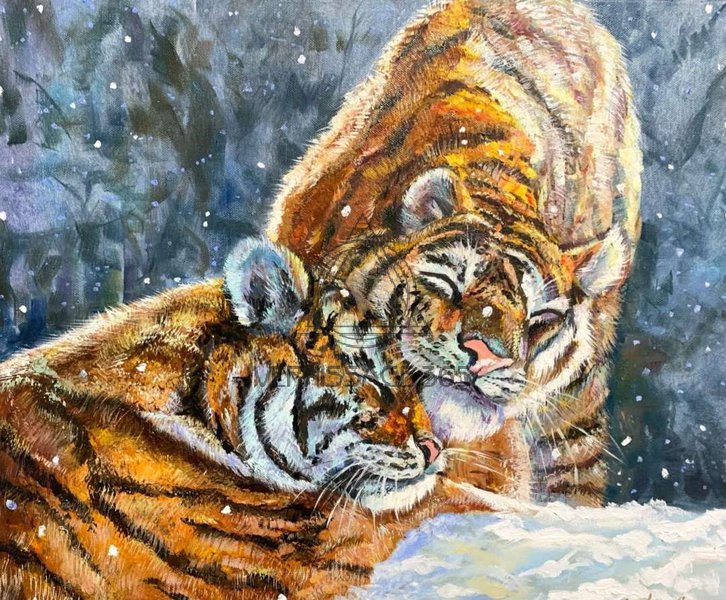 Влюблённая пара тигров