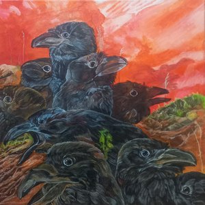 Островные вороны белой ночью