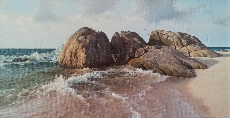 Камни у воды. Шри-Ланка.