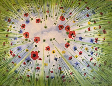 на поляне в цветах