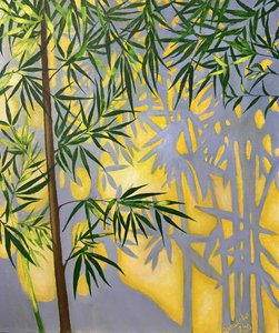 Бамбук в лучах