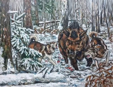 Охота на кабана с собаками