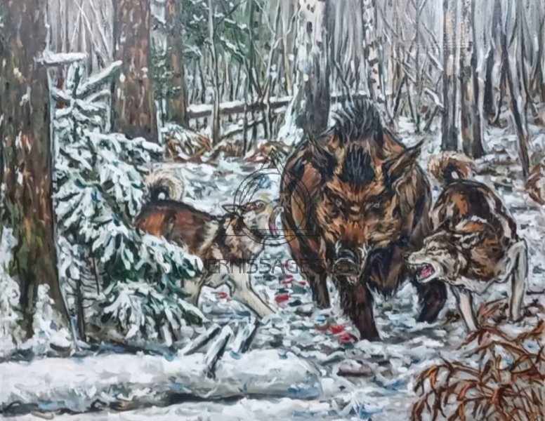 Охота на кабана с собаками