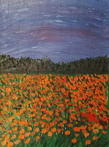 Звездное небо