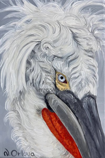 Кудрявый пеликан