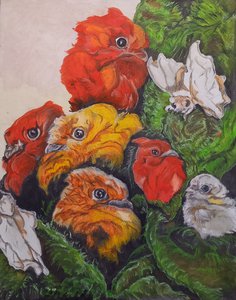 Сон о птицах