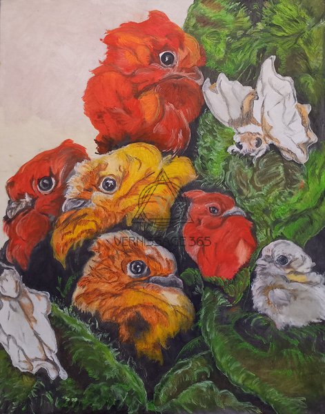 Сон о птицах