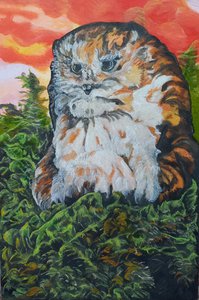 Сова на закате