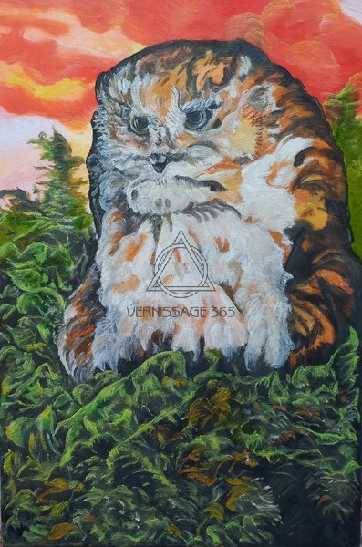 Сова на закате