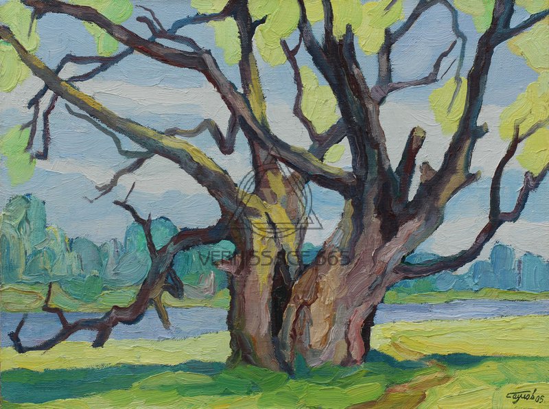 Старое дерево