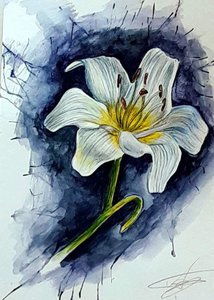Нежный цветок "Лилия"