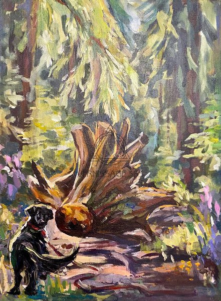 Лесная опушка