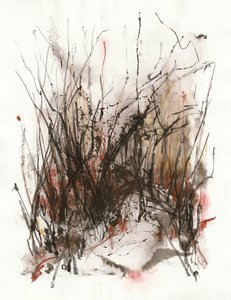 Затерянная тропинка