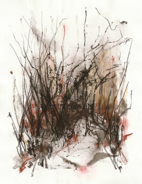 Затерянная тропинка