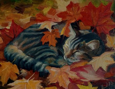 осенний кот