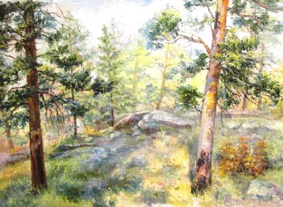 Сосны и камни