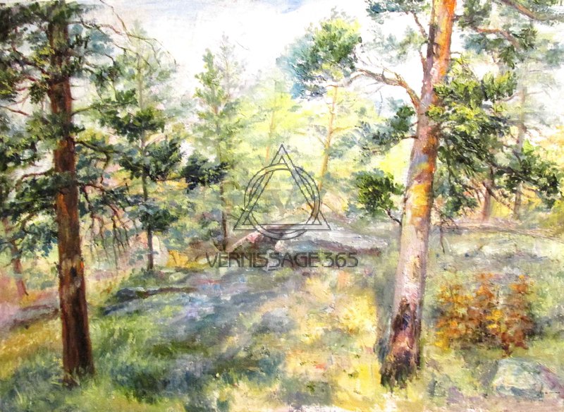 Сосны и камни