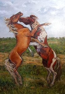 Лошадиные забавы