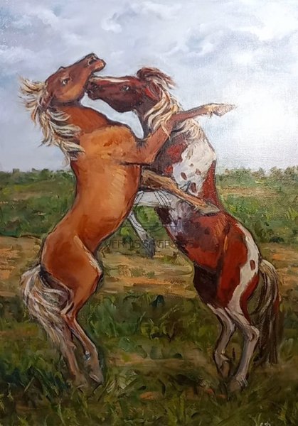 Лошадиные забавы