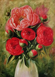 Коралловые пионы