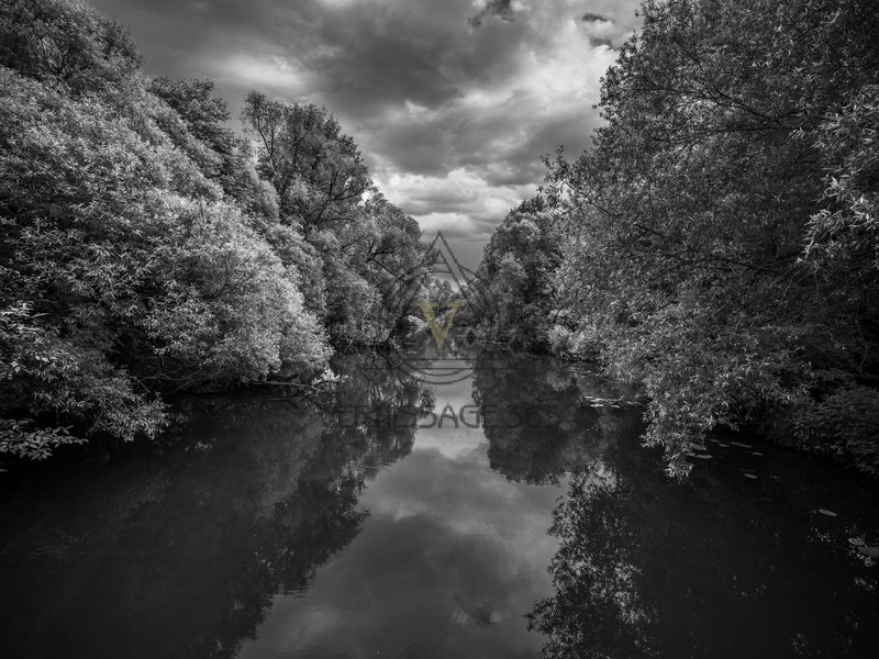 Река в инфракрасном свете