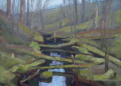 Ручей впадающий в озеро Коробожа