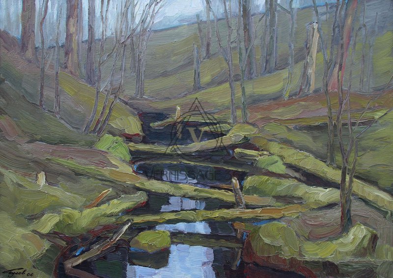 Ручей впадающий в озеро Коробожа