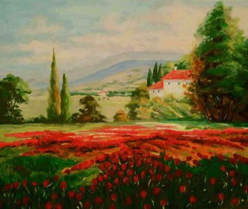 Красные маки