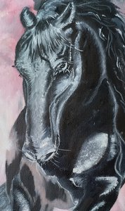 Вороной конь