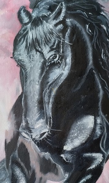 Вороной конь