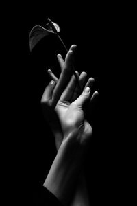 Дыхание бутона